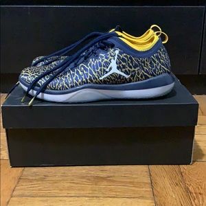 Nike Jordan Trainer 1 Low (Michigan Wolverines)